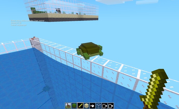 turtle