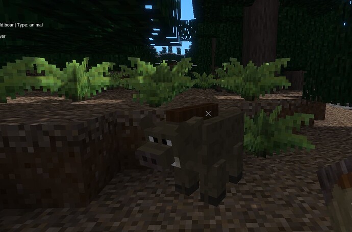 Boar